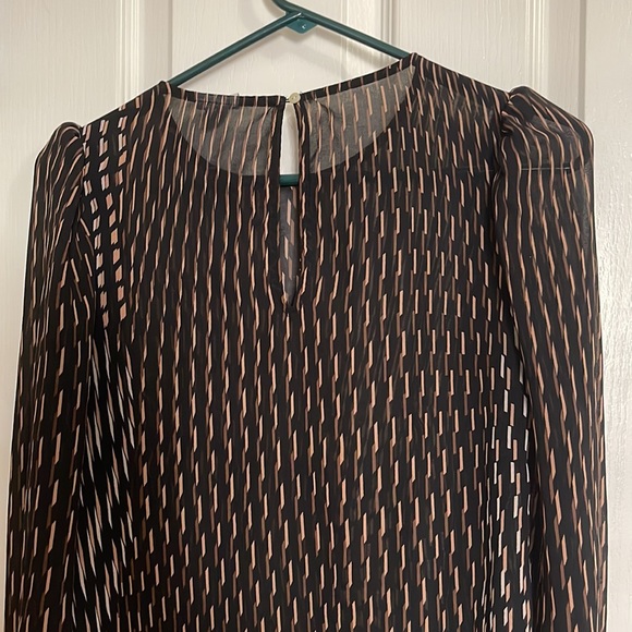 Sheer Blouse - Picture 3 of 3